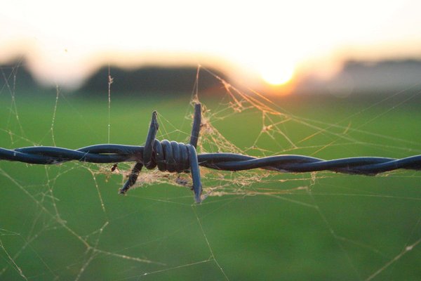 Conseils pour bien entretenir votre barbe en toutes saisons