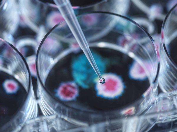 Comment savoir si vous serez un bon gardien de but ?